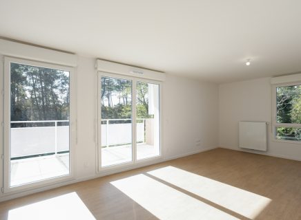 Nové le 3 novembre 2025